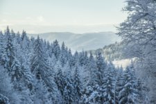 Zima w górach - atrakcje w Krynicy